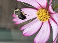 View photo in a new window