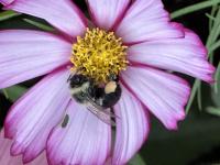 View photo in a new window