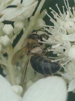 View photo in a new window