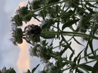 View photo in a new window