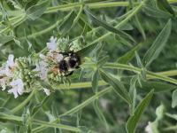 View photo in a new window