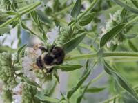 View photo in a new window