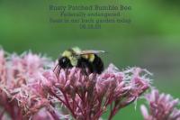 View photo in a new window