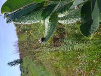 View photo in a new window