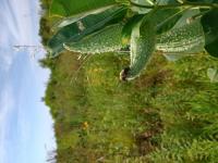 View photo in a new window