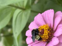 View photo in a new window