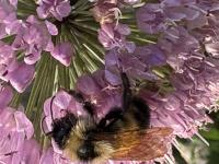 View photo in a new window