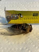 View photo in a new window