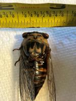 View photo in a new window