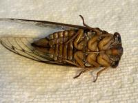 View photo in a new window