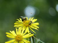 View photo in a new window