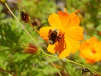 View photo in a new window