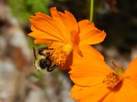 View photo in a new window