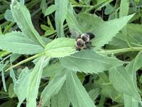 View photo in a new window