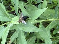 View photo in a new window