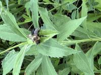 View photo in a new window