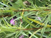 View photo in a new window