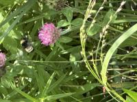 View photo in a new window