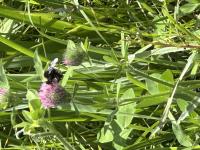 View photo in a new window