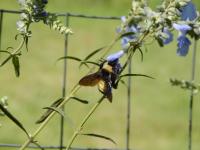 View photo in a new window