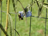 View photo in a new window