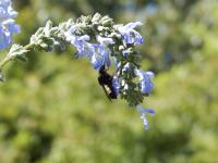 View photo in a new window