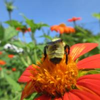 View photo in a new window