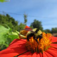 View photo in a new window