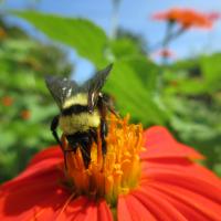 View photo in a new window