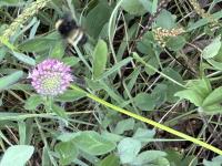 View photo in a new window