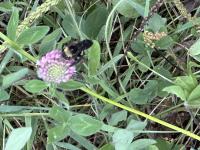 View photo in a new window