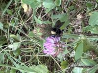 View photo in a new window