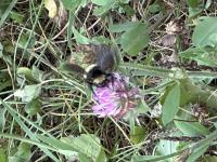 View photo in a new window