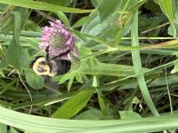 View photo in a new window