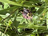 View photo in a new window