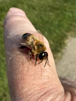 View photo in a new window