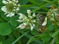 View photo in a new window