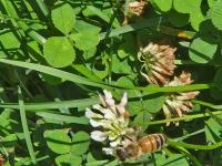 View photo in a new window