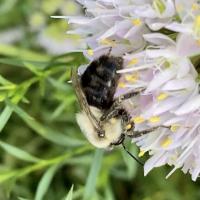 View photo in a new window