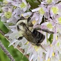 View photo in a new window