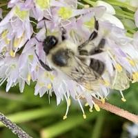 View photo in a new window