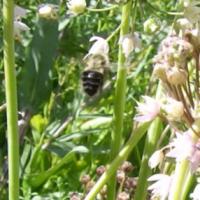 View photo in a new window