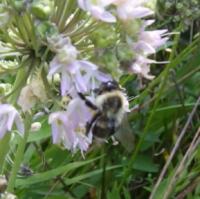 View photo in a new window