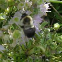 View photo in a new window