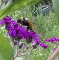 View photo in a new window