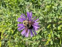 View photo in a new window