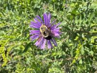 View photo in a new window