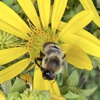 View photo in a new window