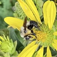 View photo in a new window