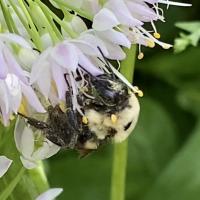 View photo in a new window